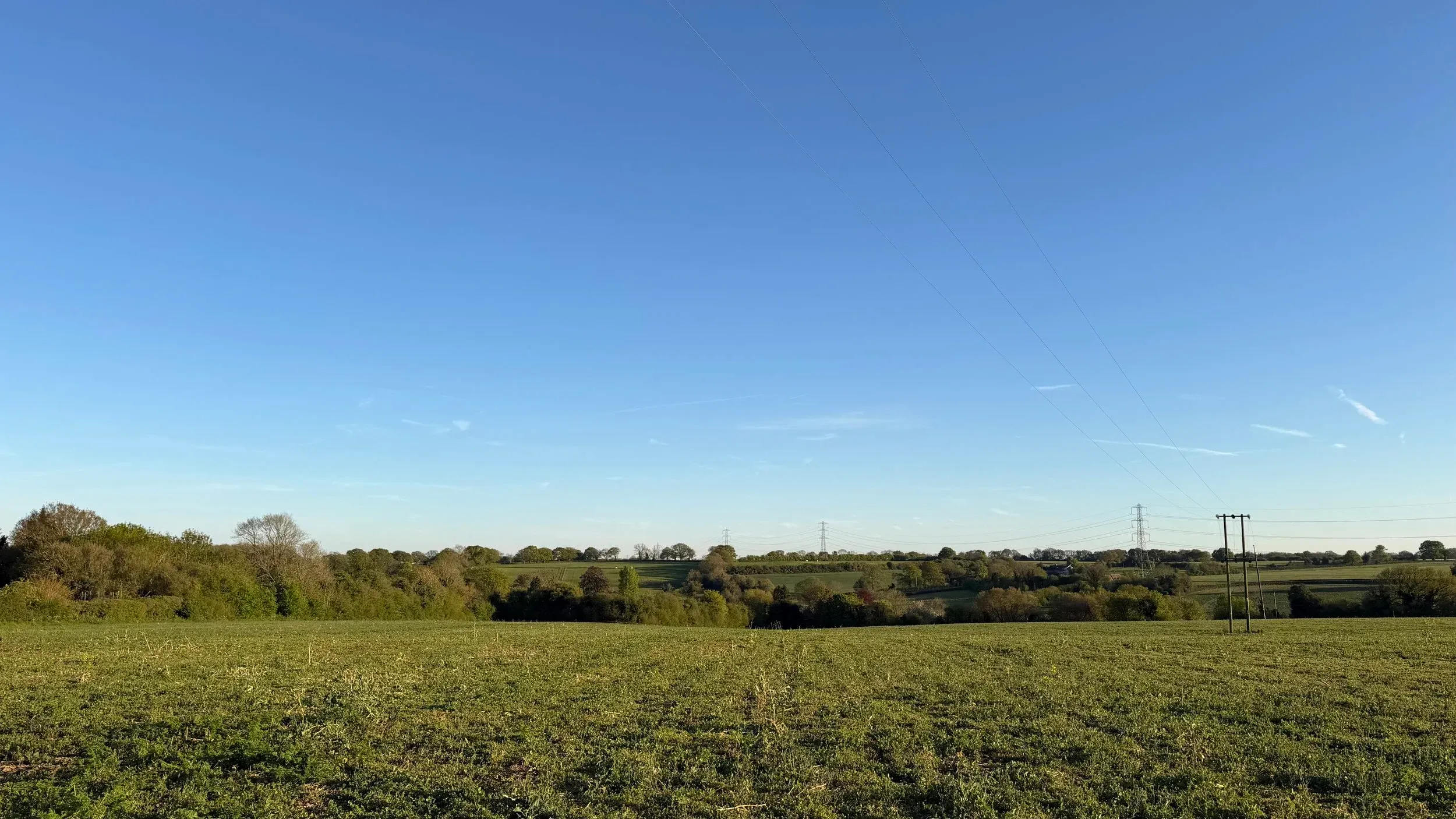 A wide, flat green field under a pale blue sky, hedgerow and distant trees along the horizon